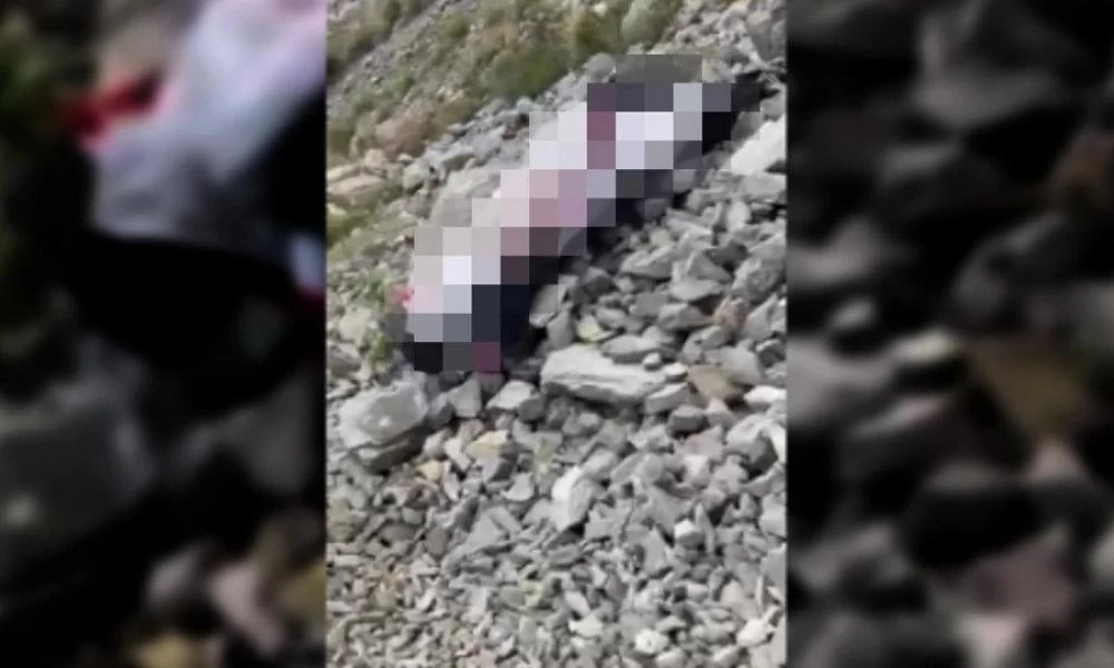 Βοιωτία: Τραγικό θάνατο βρίσκει 56χρονος μετά από "πτήση νυχτερίδας"